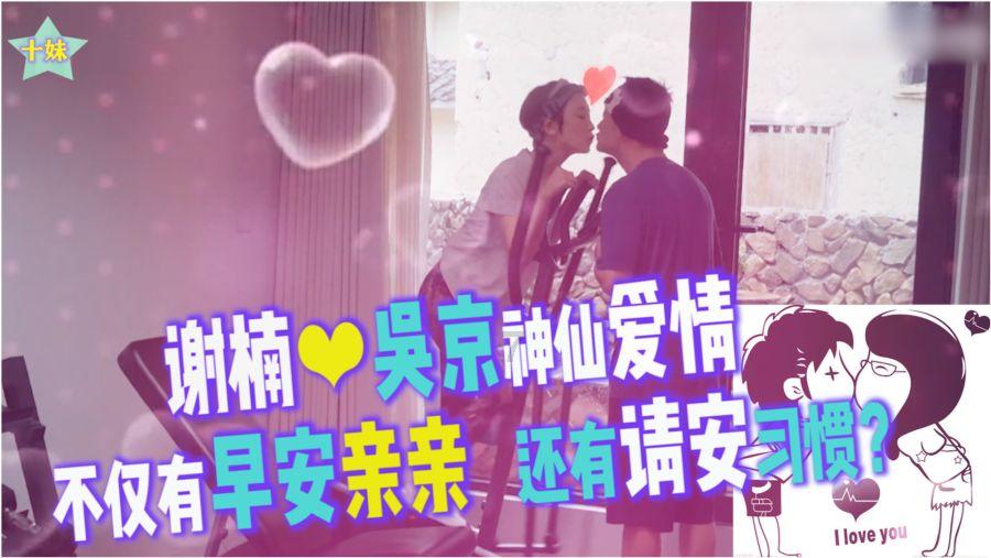 营救小猫头鹰